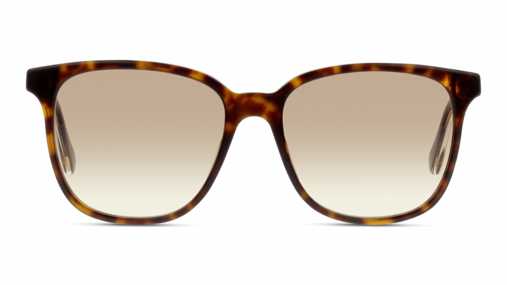 GUCCI GG0376S 002/BR 54